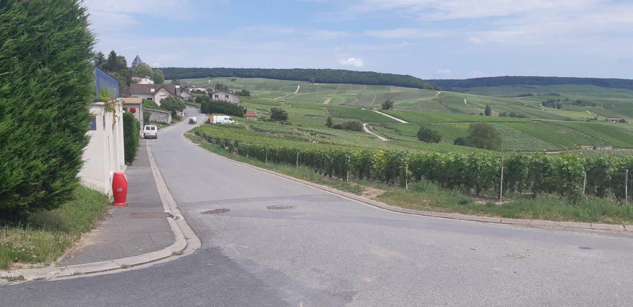 Flor'Ever En Champagne Fleury-la-Riviere Exterior foto