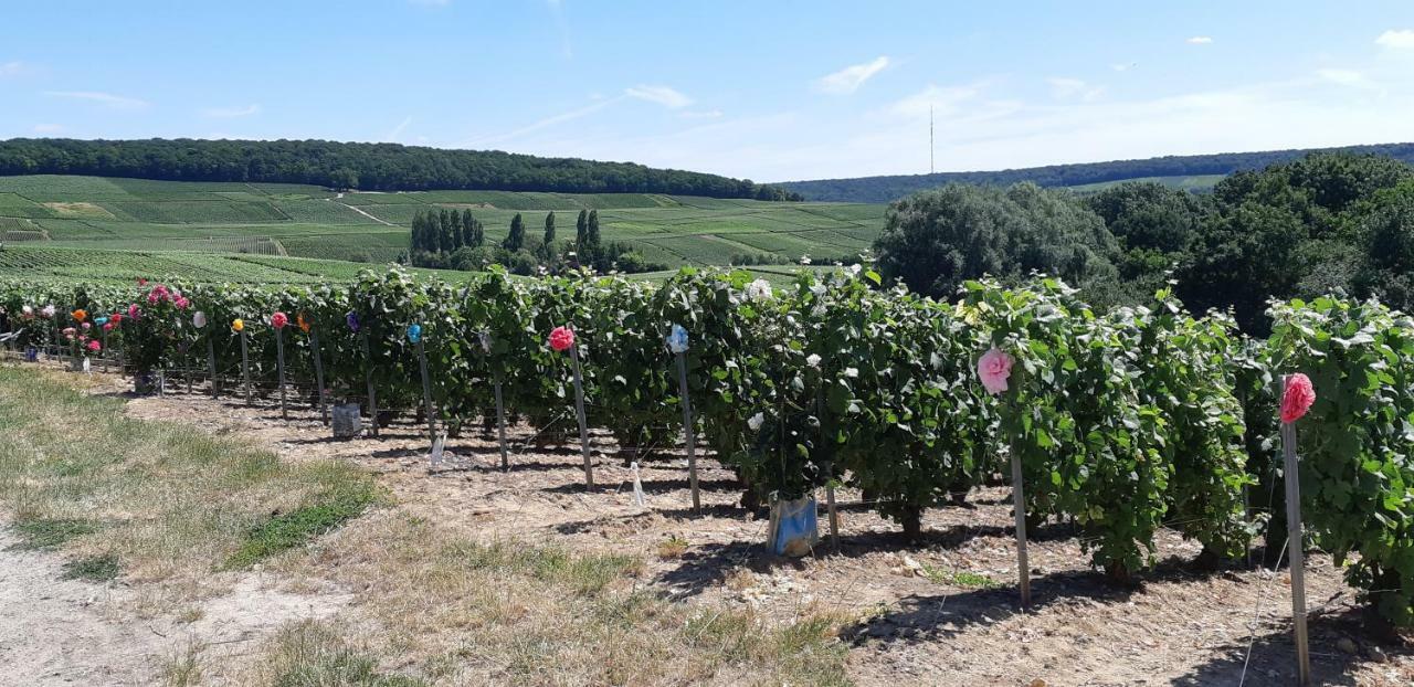 Flor'Ever En Champagne Fleury-la-Riviere Exterior foto